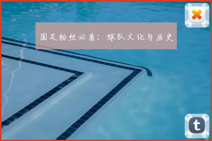 国足粉丝必看:球队文化与历史