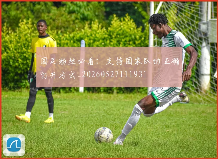 国足粉丝必看:支持国家队的正确打开方式_20260527111931