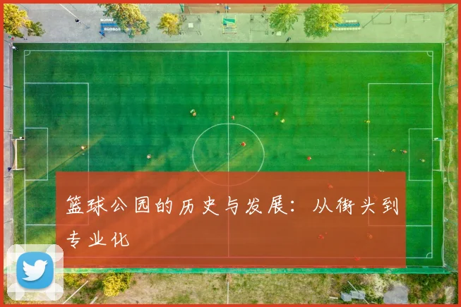 篮球公园的历史与发展：从街头到专业化